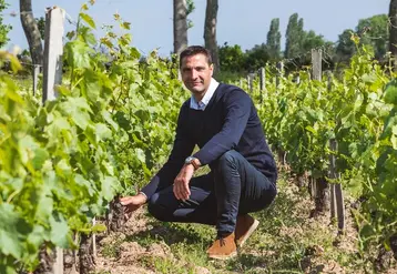 <em class="placeholder">Antony Appollot, directeur délégué général de Sarments Vignobles, en Gironde.</em>