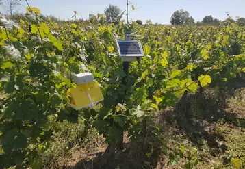 <em class="placeholder">Piège à insecte connecté CapTrap</em>