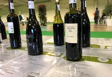 <em class="placeholder">Vins disponibles en vrac présentés à la dégustation à Millésime bio 2024, à Montpellier, du 29 au 31 janvier 2024.</em>