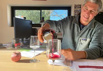 <em class="placeholder">Thomas Saleilles, viticulteur dans le Gard,</em>