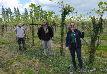 <em class="placeholder">La famille Hauselmann dans sa parcelle de kiwis. </em>