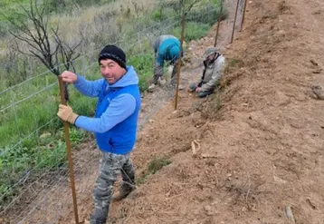 <em class="placeholder">Serge Depeyre du Clos des Fées pose une clôture autour d&#039;une parcelle de vigne</em>