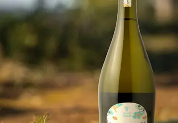 <em class="placeholder">Bouteille de Bulles légères</em>