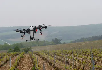 <em class="placeholder">Démonstration de traitement phytosanitaire (à l&#039;eau) des vignes avec un drone, au Champagne Serge Mathieu, à Avirey-Lingey dans l&#039;Aube, le 4 mai 2022. </em>
