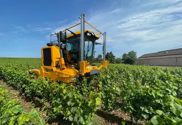 <em class="placeholder">Tracteur enjambeur Grégoire GS5 dans les vignes</em>