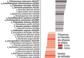 <em class="placeholder">Graphique sur la présence des champignons en fonction de la fréquence et de l&#039;intensité du mildiou</em>