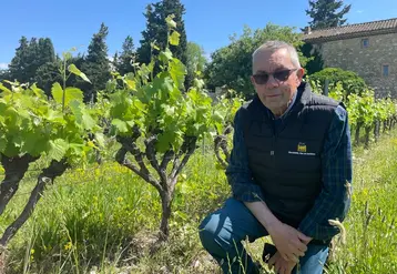 <em class="placeholder">Luc Pélaquié dans son vignoble</em>