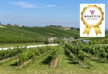 Vue du salon italien Enovitis in campo