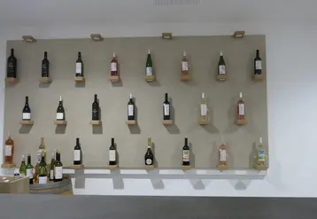 <em class="placeholder">Gamme de vins des Caves Richemer présentée dans le caveau de Marseillan.</em>