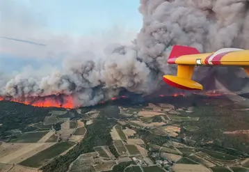 Selon les premières estimations, l’incendie qui a parcouru plus de 16 000 hectares sur 16 communes de l’Aude aurait affecté directement entre 1000 et 1500 hectares de terres agricoles (essentiellement des vignes) et indirectement 800 hectares via le cône de fumée.