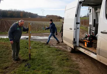 <em class="placeholder">Vigneron et salarie d une exploitation viticole a Vrigny en Champagne installant la cloture electrique afin de faire paitre des brebis dans sa parcelle de vignes. L ...</em>