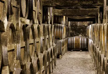 <em class="placeholder">Chais de vieillissement - Cognac Paul Giraud - Bouteville </em>