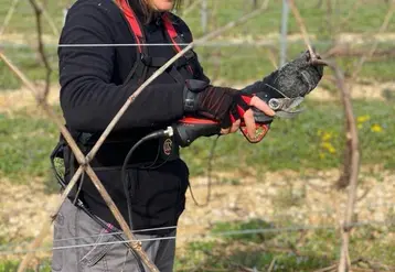 <em class="placeholder">Nathalie Lalande, salariée du Vignoble Bourgoin taillant de la vigne</em>