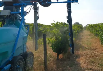 <em class="placeholder">Pulvérisateur viticole Berthoud Win'Air équipé de capteurs ultrasons AFS et de buses PWM. </em>