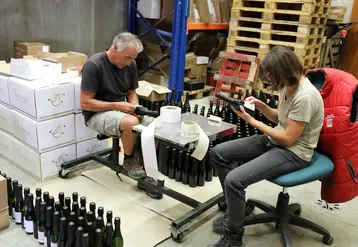 Salariée viticole en train de coller des étiquettes