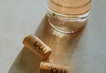 <em class="placeholder">bouchon nolow vinventions</em>