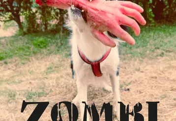 <em class="placeholder">Extrait du court métrage Zombi de David Large</em>