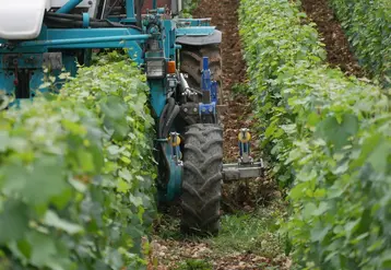 <em class="placeholder">Tracteur enjambeur réalisant du travail du sol en vignes étroites, à l'aide d'une charrue vigneronne.</em>