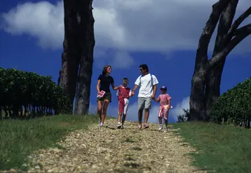 <em class="placeholder">tourisme viticole / oenotourisme / promenade familiale dans les vignes / randonneurs pédestres / parents / enfants</em>