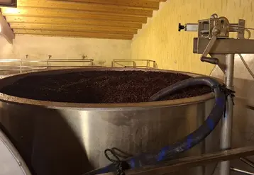 <em class="placeholder">cuve ouverte de moût rouge en fermentation avec chapeau de marc</em>