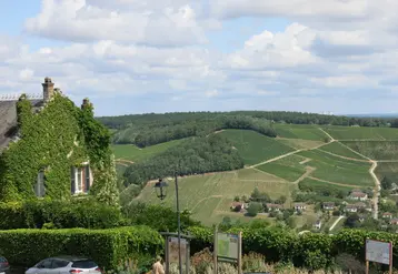 Paysage viticole autour de Sancerre