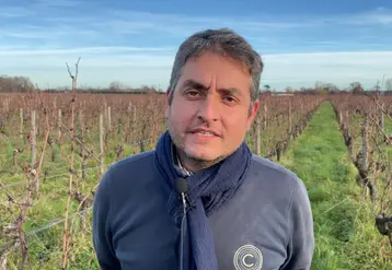 <em class="placeholder">Davy Chodjaï, consultant viticole en Gironde chez Cambium</em>