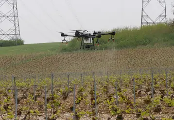 <em class="placeholder">Démonstration de traitement phytosanitaire (à l'eau) des vignes avec un drone, au Champagne Serge Mathieu, à Avirey-Lingey dans l'Aube, le 4 mai 2022. </em>