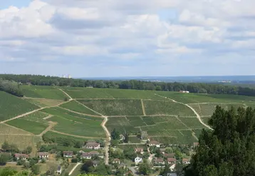 <em class="placeholder">Panorama du vignoble de Sancerre </em>