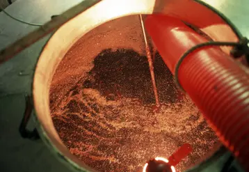 Les pratiques de vinification doivent se réinventer face au climat et aux attentes des consommateurs qui évoluent.