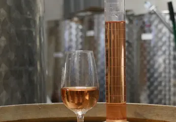 <em class="placeholder">Verre de vin rosé avec éprouvette dans un chai avec des cuves en inox</em>