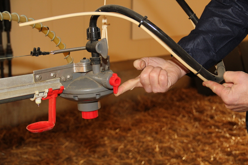 Automatic Poultry Waterline Flushing System