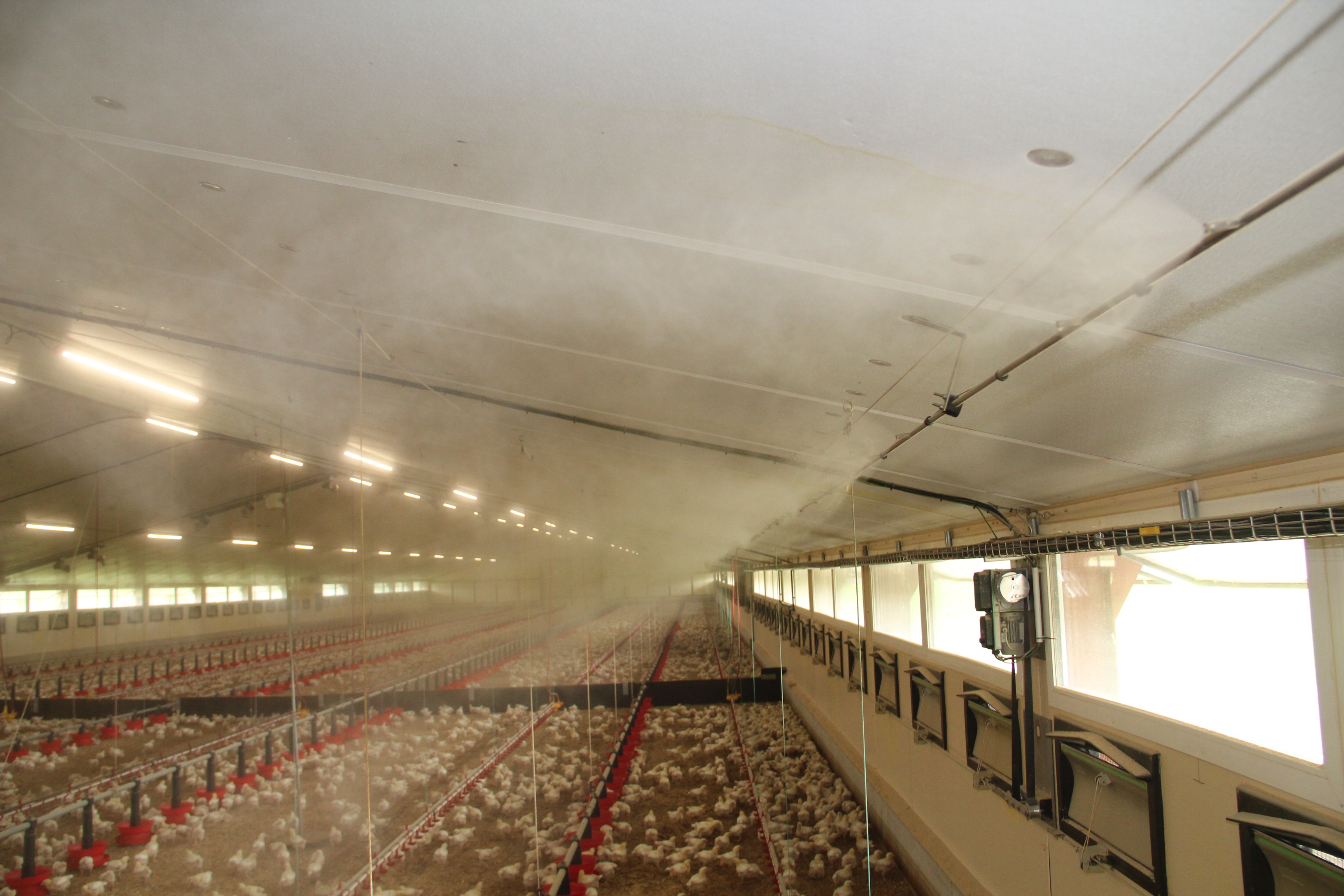 Poultry House Fog Cooling System