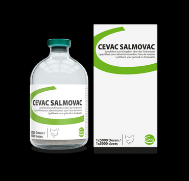 Le vaccin vivant Ceva Salmovac est distribué en France depuis le printemps dernier.