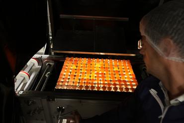 Étape 1 - Détection des OAC microfélés sur une table lumineuse.