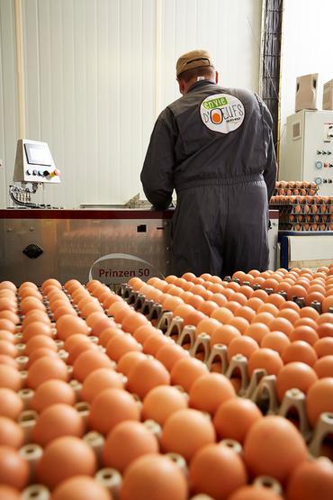 Avec une centaine d'éleveurs partenaires Envie d'œufs Sud-Est est le leader régional avec 1,9 million de poules. 