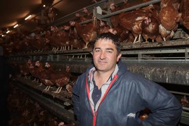 <em class="placeholder">Malgré un léger retard de poids à leur mise en place, les poules Novo Color se sont bien rattrapées le poids et tenu les objectifs chez Stéphane Garion.</em>
