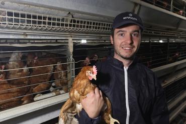 <em class="placeholder">Une poule Novo Brown au rendez du nombre d&#039;œufs attendus chez Maxime Lucas.</em>