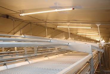 <em class="placeholder">La hauteur de la volière a été réduite pour garder un couloir d’air entre les poules perchées pour la nuit et le plafond. </em>