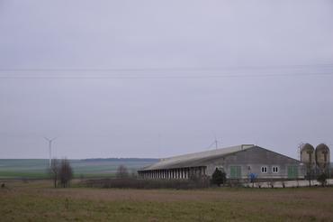 <em class="placeholder">Dans la plaine champenoise, plus connue pour ses productions végétales, le poulailler détonne.</em>