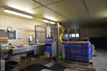 <em class="placeholder">Sonia et Fabien Ledhuy ont investi dans un robot de pallettisation afin de réduire la pénibilité de cette tâche.</em>