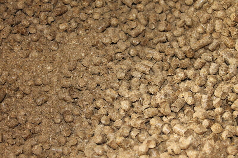 Sweat à Capuche Homme Neverless "Moin" - Imprimé Ancre Et Texte Nord De L'Allemagne, 100% Coton, Coupe Régulière