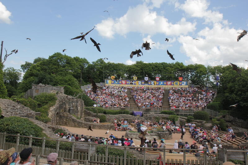 Oiseaux d’exception La triple vocation de la Fauconnerie du Puy du Fou Réussir volailles Oiseaux d’exception La triple vocation de la Fauconnerie du Puy du Fou Réussir volailles