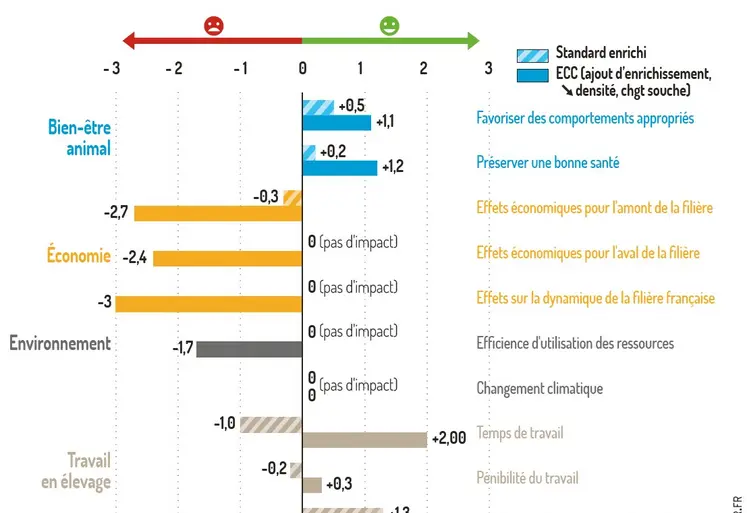 infographie comparant les impacts sur le bien-être, l'économie, l'environnement et le travail des poulets ECC et standard enrichi