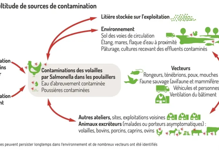 <em class="placeholder">Graphique = Une multitude de sources de contaminationLes salmonelles peuvent persister longtemps dans l’environnement et de nombreux vecteurs ont été identifiés</em>
