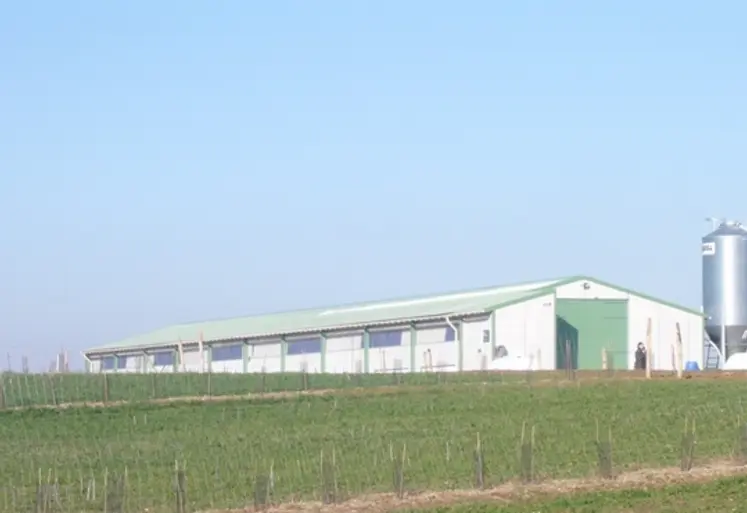 <em class="placeholder">Euralis veut redynamiser sa filière Volaille et propose une offre diversifiée aux éleveurs dont la production de poulet standard élevé en 42 jours. </em>