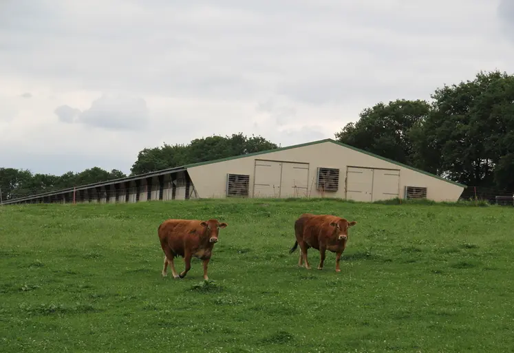 <em class="placeholder">bâtiment pondeuses biologiques Le Gouessant jardin d&#039;hiver aménagement paysager polyculture élevage vaches</em>