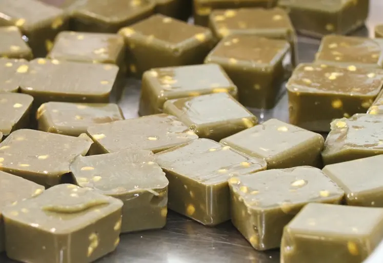 <em class="placeholder">Cube So'Care de 25g </em>