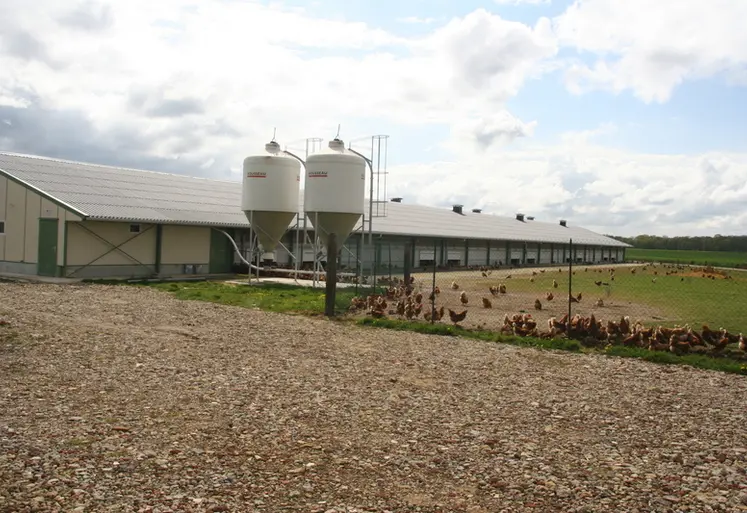 <em class="placeholder">bâtiment poule pondeuse Cocorette</em>