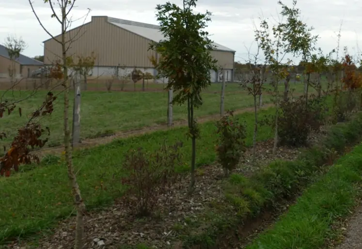 <em class="placeholder">Implanter les haies qui longent les parcelles à bonne distance de la clôture facilite l’entretien.</em>