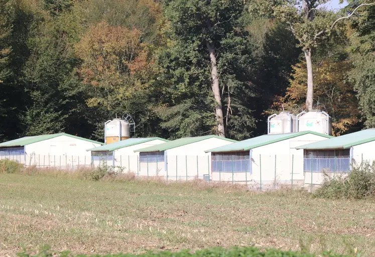 <em class="placeholder">Bâtiments dans le sud-ouest de la France</em>